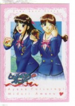 R付属